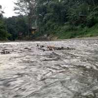 Landak River in Medan