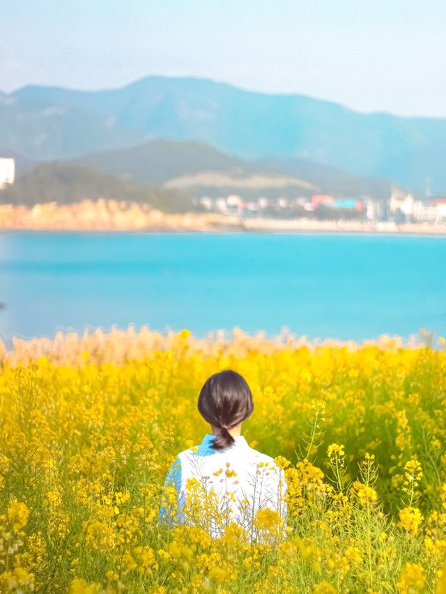 부안 수성당: 아름다운 노란색 물결