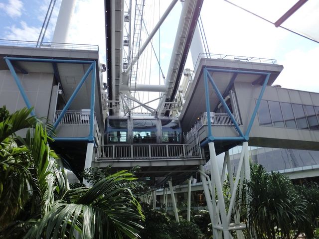 新加坡摩天輪🎡