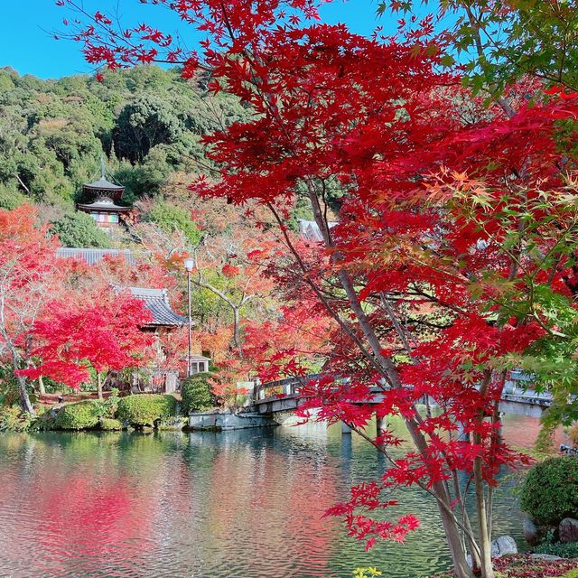 【紅葉巡り】京都ー永観堂