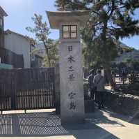 宮島の紅葉はレベルが違う⁉️