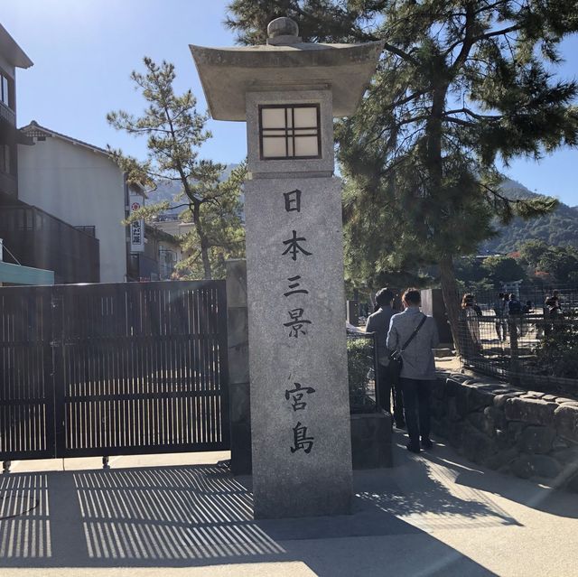 宮島の紅葉はレベルが違う⁉️