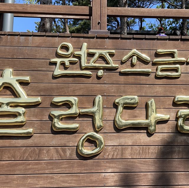강원도 원주시 소금산 그랜드 밸리(간현관광지)