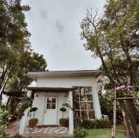 คาเฟ่บรรยากาศร่มรื่น