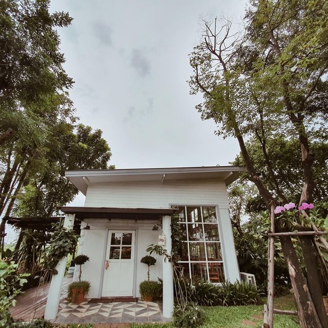 คาเฟ่บรรยากาศร่มรื่น