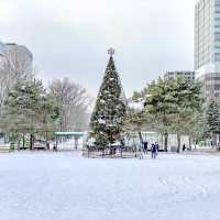 真冬の大通公園のテレビ塔