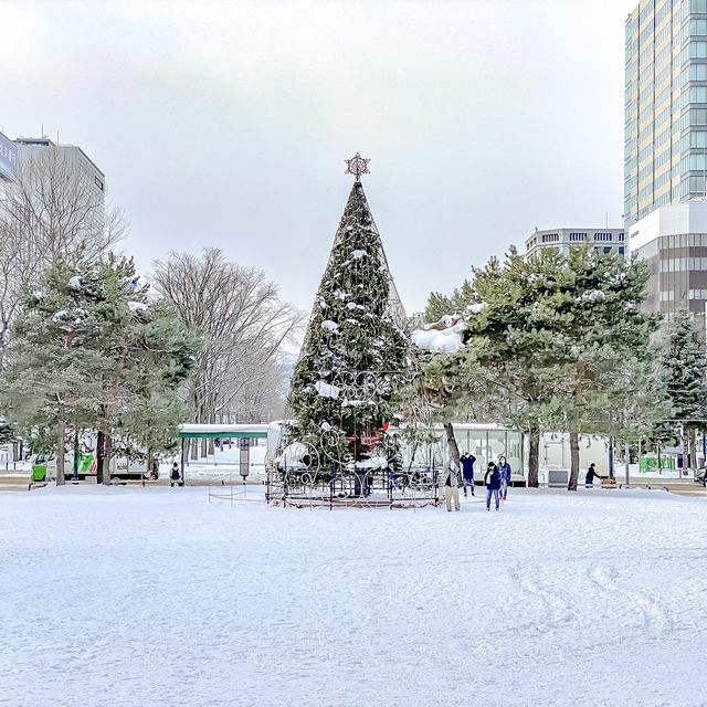 真冬の大通公園のテレビ塔