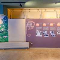 円山動物園のゾウ舎・上層階