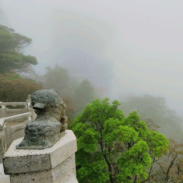 香港好去處 ～ 太平山的仙境 