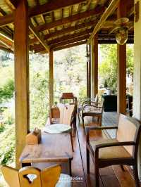 🍃🐶Mori Natural Farm ที่พัก&คาเฟ่บนภูเขาเชียงใหม่