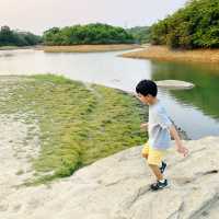 港版嵐山竹林之道
