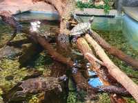 St. Louis Aquarium - Children Waterplay Zone