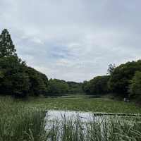 水遊びできる公園ならここ三ツ池公園