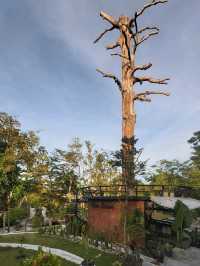 River Curve อิ่มชิล! ที่ริเวอร์ เคิร์ฟ เขาใหญ่