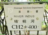 梧桐河