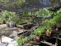 Rooftop garden at Siloso