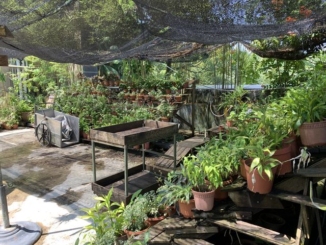 Rooftop garden at Siloso