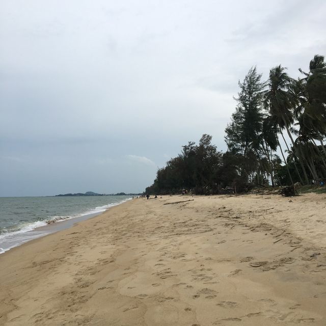 Beach of Whispering Breeze!