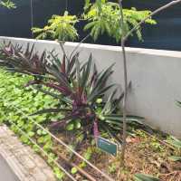 Urban Farm at Funan