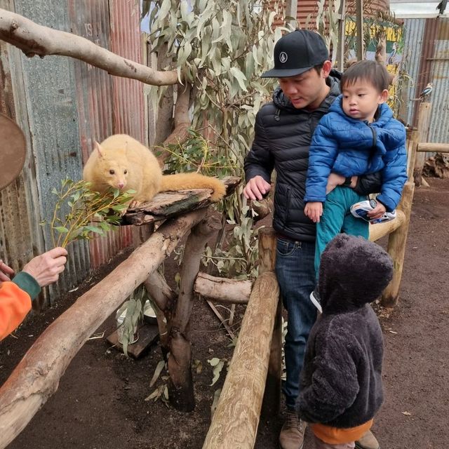 Kids Love Caversham Wildlife Park