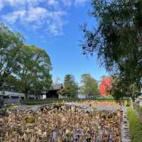【京都府】特別公開実施中の東福寺山門！