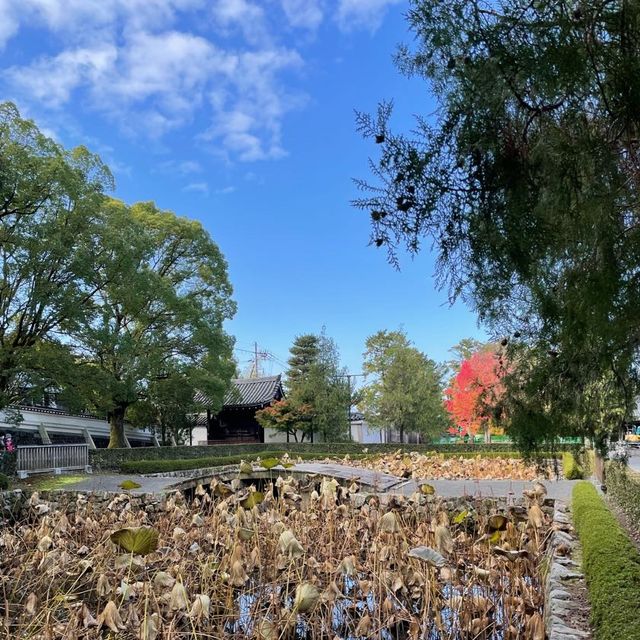 【京都府】特別公開実施中の東福寺山門！