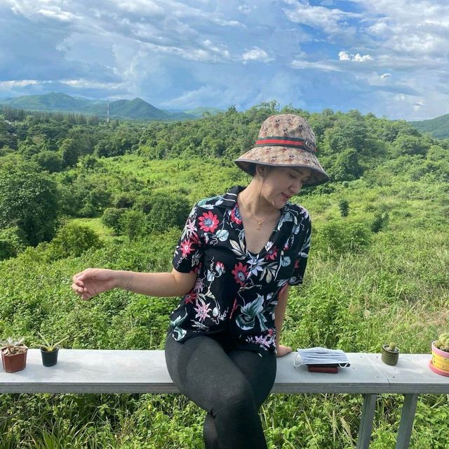 ใบไม้ใบหญ้าค่าเฟ่