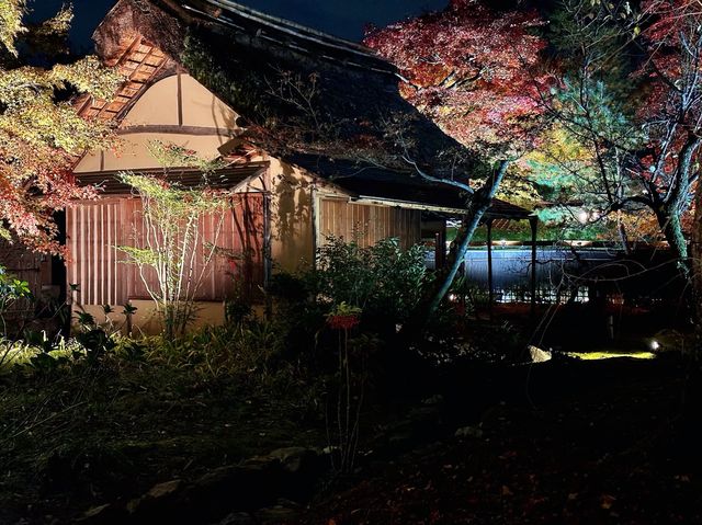 宝厳院ライトアップ