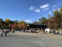 『大阪城公園』の『噴水広場』周辺