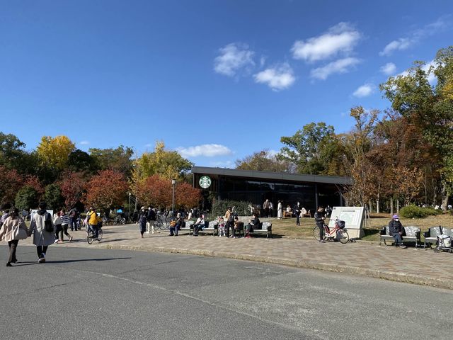 『大阪城公園』の『噴水広場』周辺