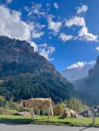 🇨🇭그린델발트에 숙소를 잡아야 하는 이유✨💚