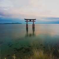 琵琶湖水中烏居