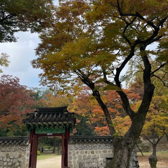 Secret Garden 🪴 