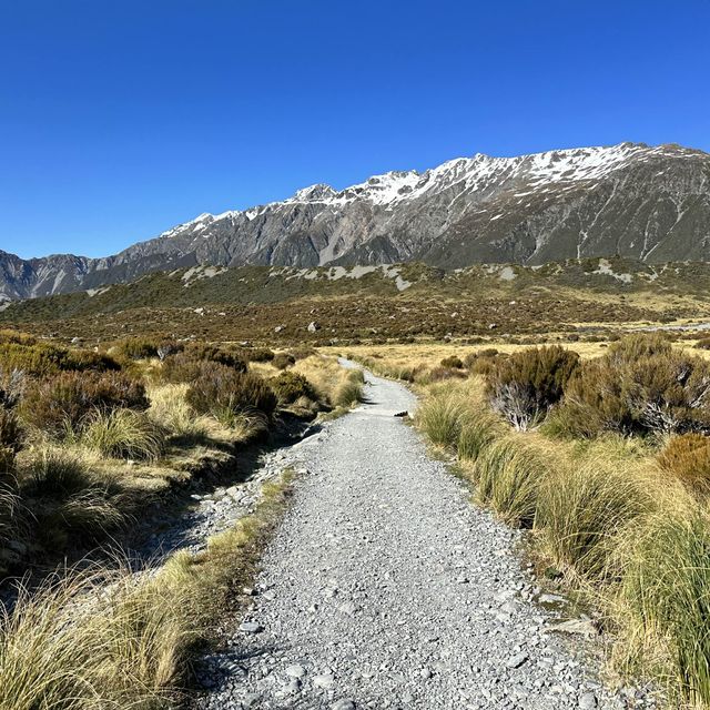 NZ Mt. Cook Hooker Valley Track