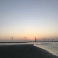 Amazing wind farm at Wetlands 