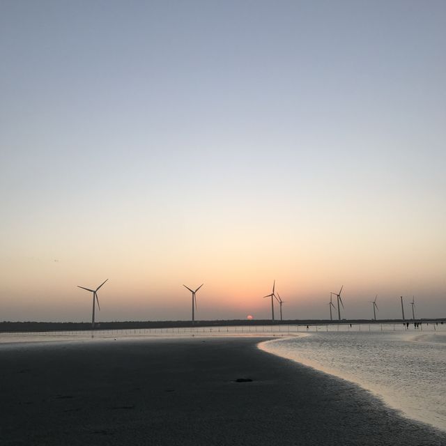 Amazing wind farm at Wetlands 