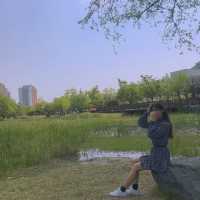 김해 피크닉 명소 | 봉황대공원