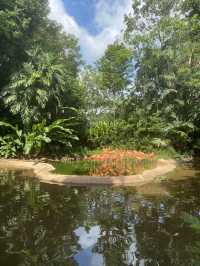 largest man-made waterfall in Jurong