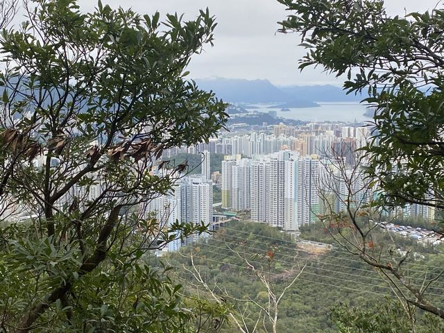 吊鐘賀新春