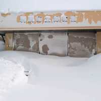 雪化粧した利尻山