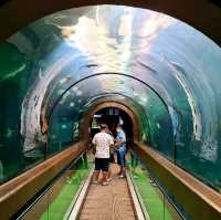 Phuket aquarium