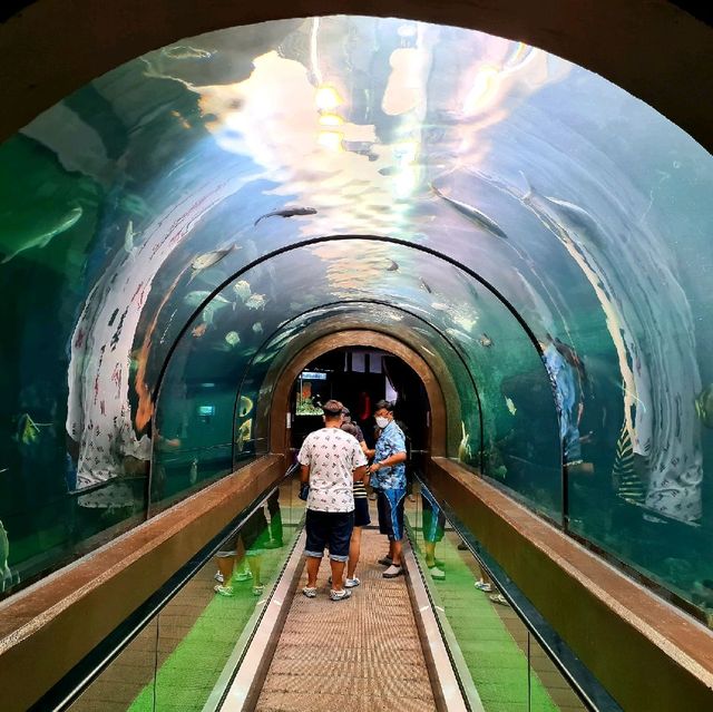Phuket aquarium