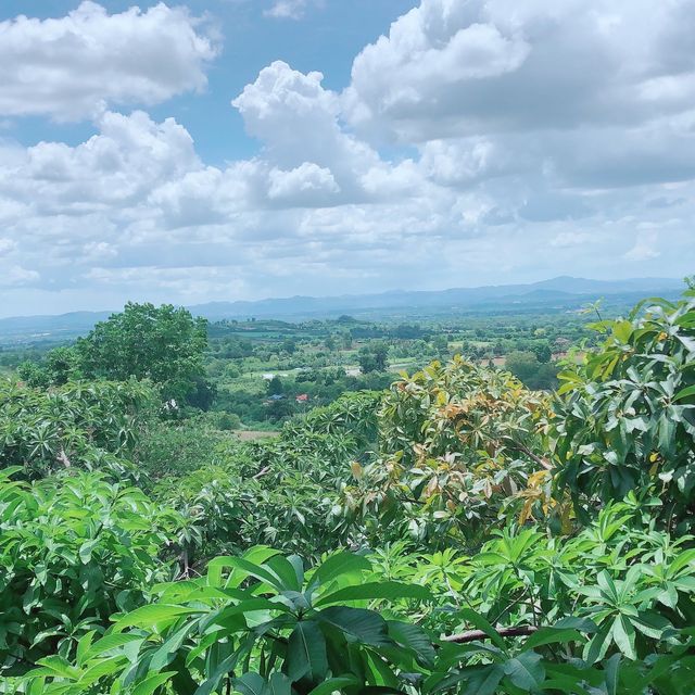 The Paz Khaoyai โรงเเรมหรูเขาใหญ่ 