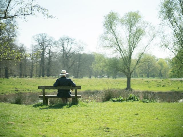 英國 Richmond Park 