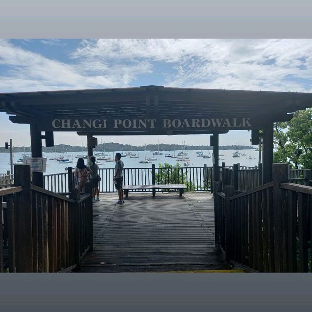 Changi Beach