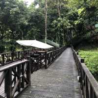 Tabin Wildlife Resort