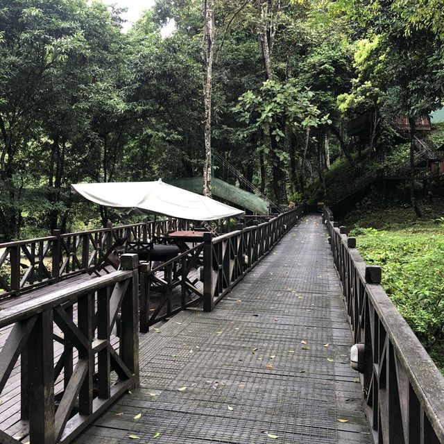 Tabin Wildlife Resort