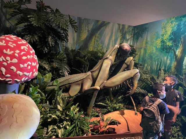 カブトムシを触れるコーナーまで！【ファーブル昆虫展】②