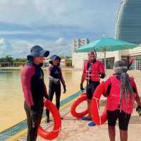 swimming with Dolphins 