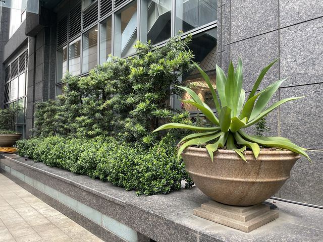 電力公園 在大樓中的公園很酷很好拍